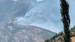Şırnaktaki orman yangını 9 saatte kontrol altına alındı