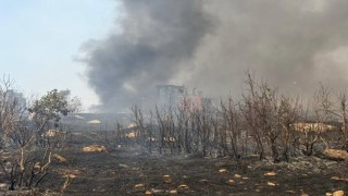 Şırnaktaki örtü yangını 7 saatte söndürüldü