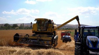 Sivas Cumhuriyet Üniversitesinde hasat bereketi başladı