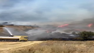 Sivasta ağaçlık alanda yangın çıktı, ekiplerin müdahalesi sürüyor