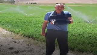 Sivasta sulama desteğiyle ekili araziler genişletiliyor