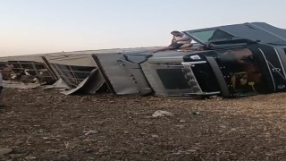 Siverekte büyükbaş hayvan yüklü tır devrildi