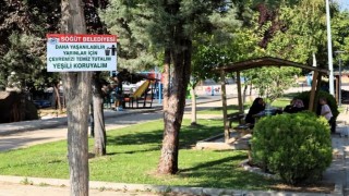 Söğütte çevre bilinci artırılıyor