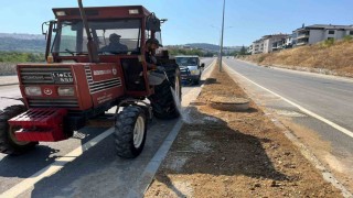 Söğütte refüjler ve yeşil alanlar yenileniyor