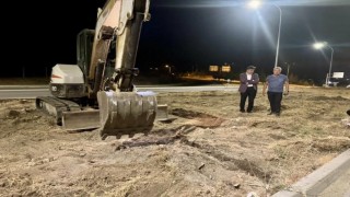 Söğütte temizlik ve düzenleme çalışmaları hız kesmiyor