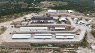 Sokak hayvanları doğal yaşam alanlarına denetim