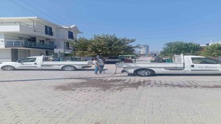 Söke Belediyesinden haşerelere karşı Nokta Atışı mücadele