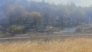 Soma yangınında bir mahalle boşaltındı, bir kişi de gözaltına alındı