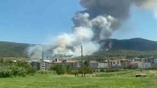 Somada orman yangını