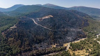 Somadaki orman yangınında soğutma çalışmaları sürüyor