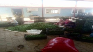 Su sorunu çiftçileri alternatif ürüne yöneltti