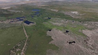 Sultan Sazlığı kuş değil tilki cenneti oldu