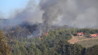 Sumbas’ta Orman Yangını Kontrol Altında: 10 Hektar Alan Yandı