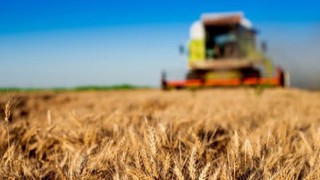 Tarım-GFE Haziran 2025 Verileri Açıklandı: Yıllık Artış %33,88