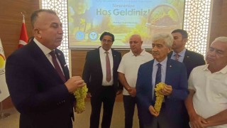 TARİŞ Üzüm Birliği Başkanı Şen: Şu an en büyük sorunumuz pazarımızı kaybetmemek