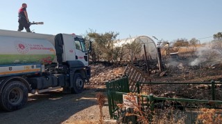 Tarlada başlayan yangın rüzgarın etkisiyle seraya sıçradı