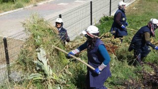 Tavşanlıda kadın işçilerin sıcağa karşı mücadelesi