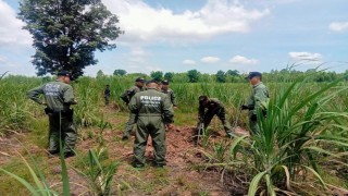 Tayland - Kamboçya sınırında ateşkes ihlali iddiası