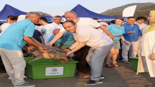 Tedavi edilen caretta carettaların mavi yolculuğu ilk kez yerli uydu ile izlenecek