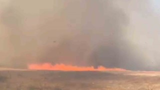 Tekirdağda alevler tarla ve ormanı sardı: 10 ev boşaltıldı