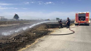 Tekirdağda çıkan yangın korkuttu