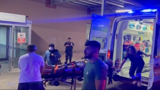 Tekirdağda çoban köpeğine çarpan motosikletli yaralandı