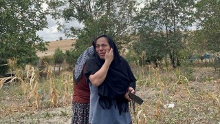 Tekirdağda korkutan yangın: Mahsur kalan kediler için ağladılar