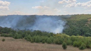 Tekirdağda orman yangını
