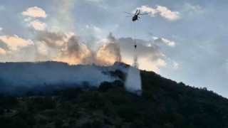 Tekirdağda orman yangınına müdahale sürüyor