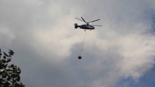 Tekirdağda orman yangınında soğutma çalışmaları sürüyor