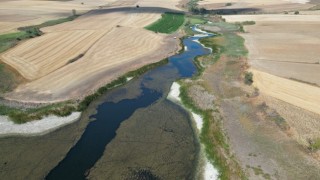 Tekirdağda Sarılar Göleti kuraklıktan nasibini aldı