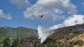 Tekirdağdaki makilik yangını kontrol altına alındı