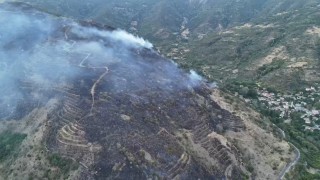 Tekirdağdaki orman yangınını söndürme çalışmaları sürüyor