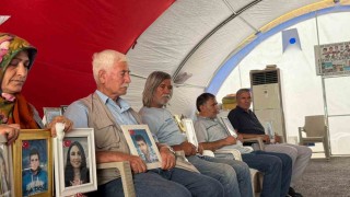 Terörsüz Türkiye sürecinde Diyarbakır anneleri dinlenecek