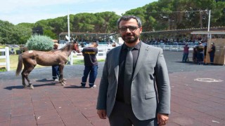 TİGEM tay satışı ve koşulardan bu yıl 500 milyon lira gelir bekliyor