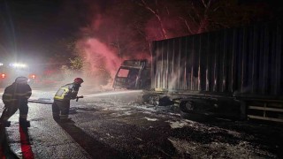 Tırdan ormanlık alana sıçrayan yangın söndürüldü