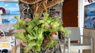 TMO 200 lira açıkladı, tezgahta 300 liradan satışı başladı