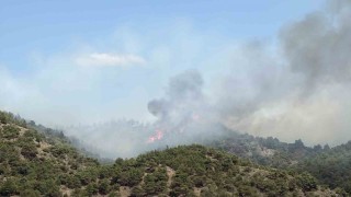 Tokatın Erbaa ilçesinde çıkan orman yangınına müdahale ediliyor