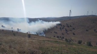 Tokatta örtü yangını kontrol altına alındı