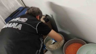 Torbacının bonzai zulası fasulye dolu kova çıktı: 6 tutuklama