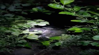 Trabzonda kontrolden çıkan araç dereye uçtu: 4 kişi son anda kurtarıldı