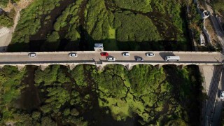 Tunca Nehrinde kuraklık: Otlar yayıldı, su yüzeyi yeşile döndü