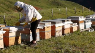 Tunceli Arıcı Yetiştiricileri Birliği bal alım fiyatlarını açıkladı