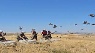 Tuncelide doğaya 200 kınalı keklik salındı