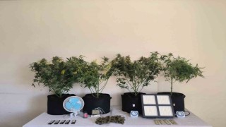 Tuncelide jandarmadan uyuşturucu operasyonları: 10 gözaltı