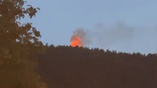 Türbede çıkan yangın ormana sıçradı