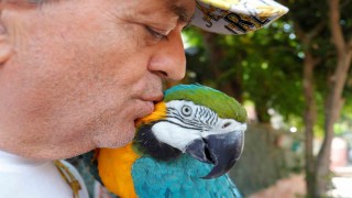 Turgut Özalın kaybolan papağanı 3 gün sonra bulundu