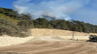 Türkelide ormanlık alanda örtü yangını