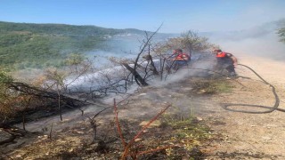 Türkelide ormanlık alanda yangın paniği
