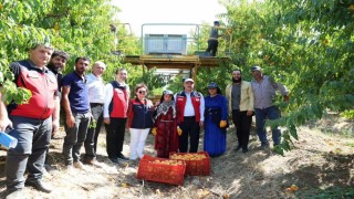 Türkiye genelinde Çanakkale, şeftalide 2nci nektarinde 3üncü sırada